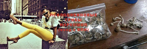 PSILOCYBIN Надым