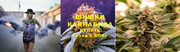 PSILOCYBIN Богородицк