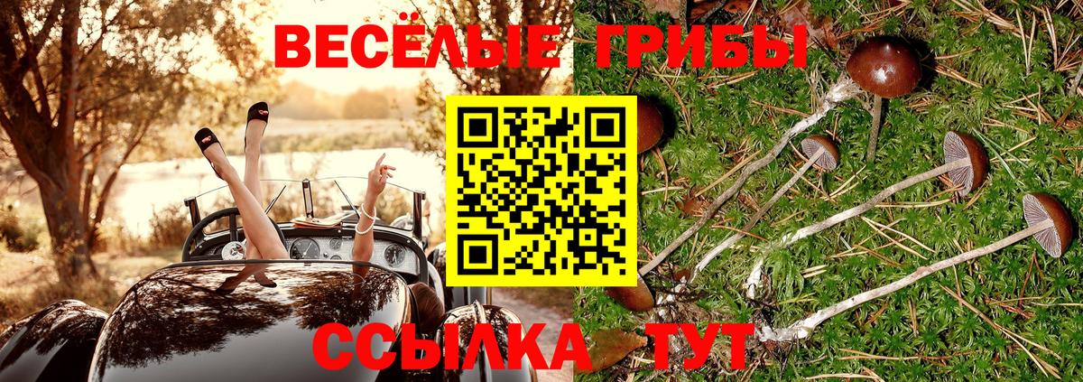 Псилоцибиновые грибы прущие грибы Томск