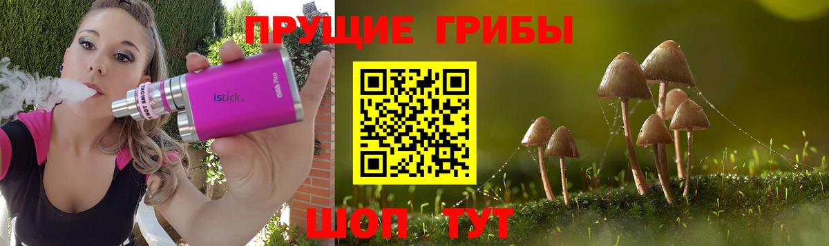 Томск  Псилоцибиновые грибы прущие грибы  Вход с VPN 